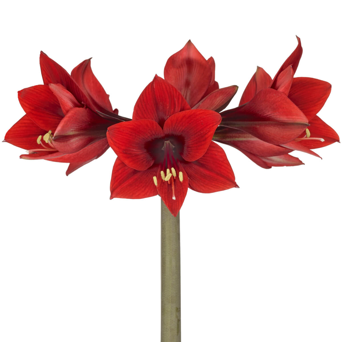 Leuchtfeuer