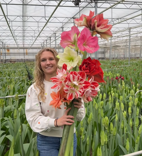 De nieuwste showstoppers